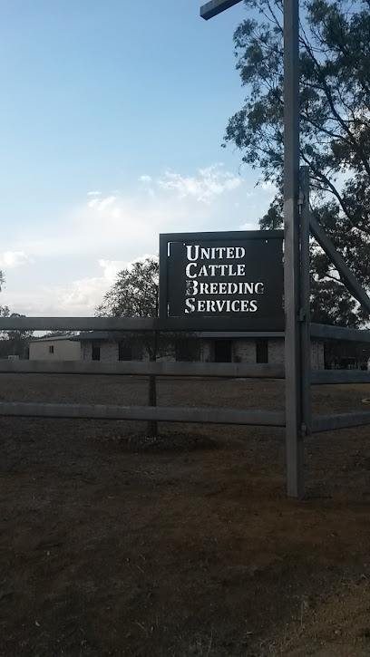 United Cattle Breeding Service - Semen & Liquid Nitrogen Sales