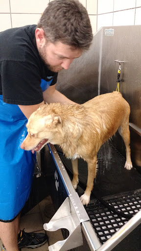 Pet Supply Store «Pet Supplies Plus», reviews and photos, 1970 Portage Trail, Cuyahoga Falls, OH 44223, USA