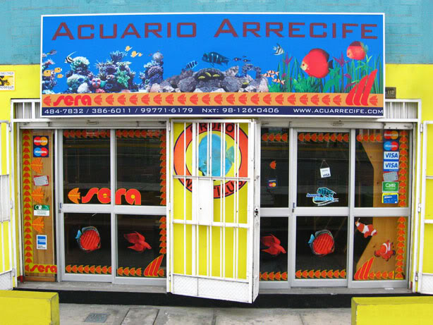 Acuario Arrecife 2
