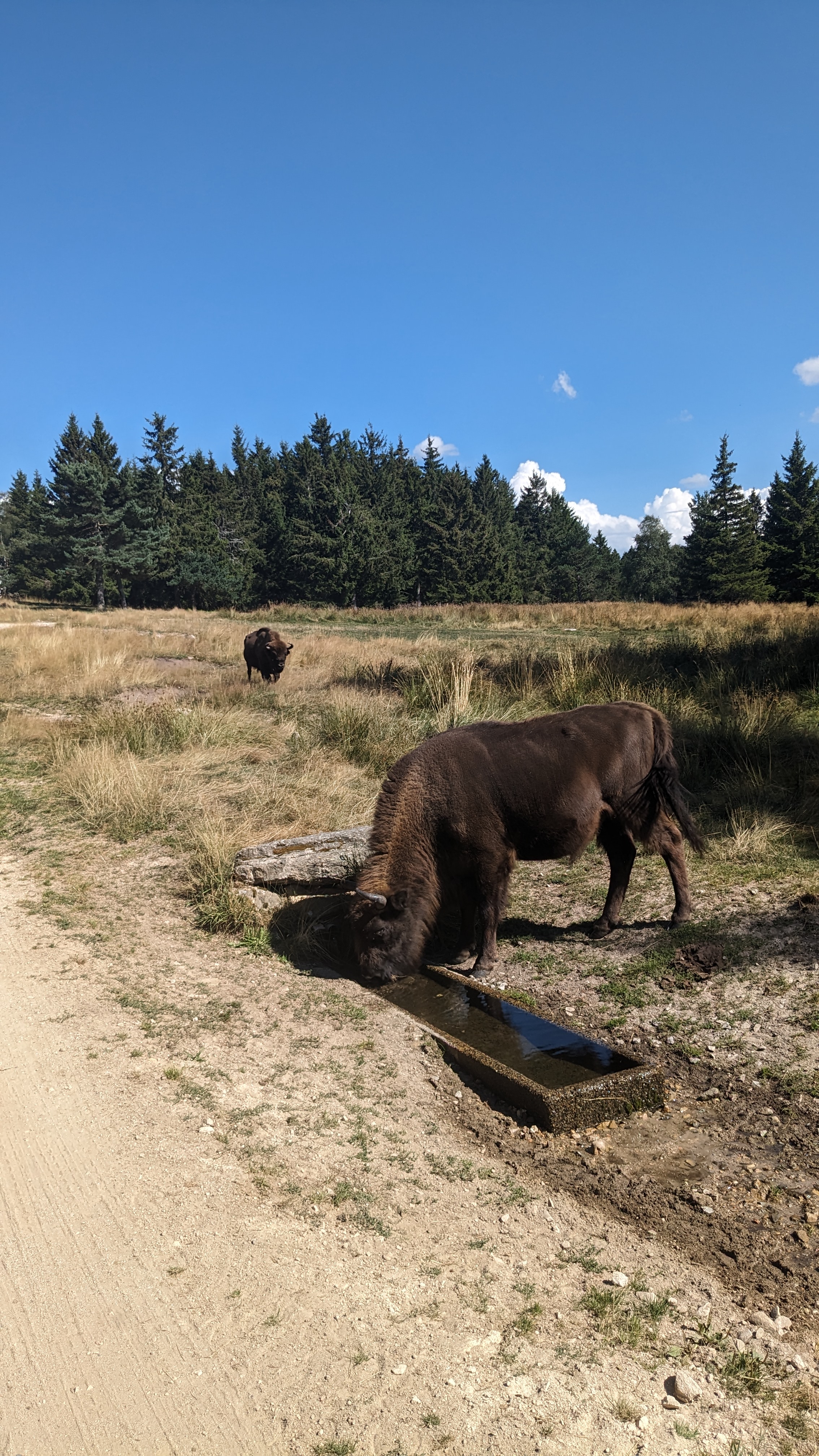 Photo n° 1 de l'avis de Claire.e fait le 20/08/2023 à 18:03