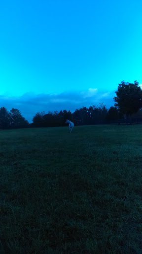 Festival «Temple Hall Fall Festival & Corn Maize», reviews and photos, 15855 Limestone School Rd, Leesburg, VA 20176, USA