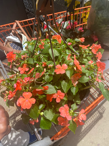 Home Improvement Store «The Home Depot», reviews and photos, 1222 W Hill Rd, Flint, MI 48507, USA