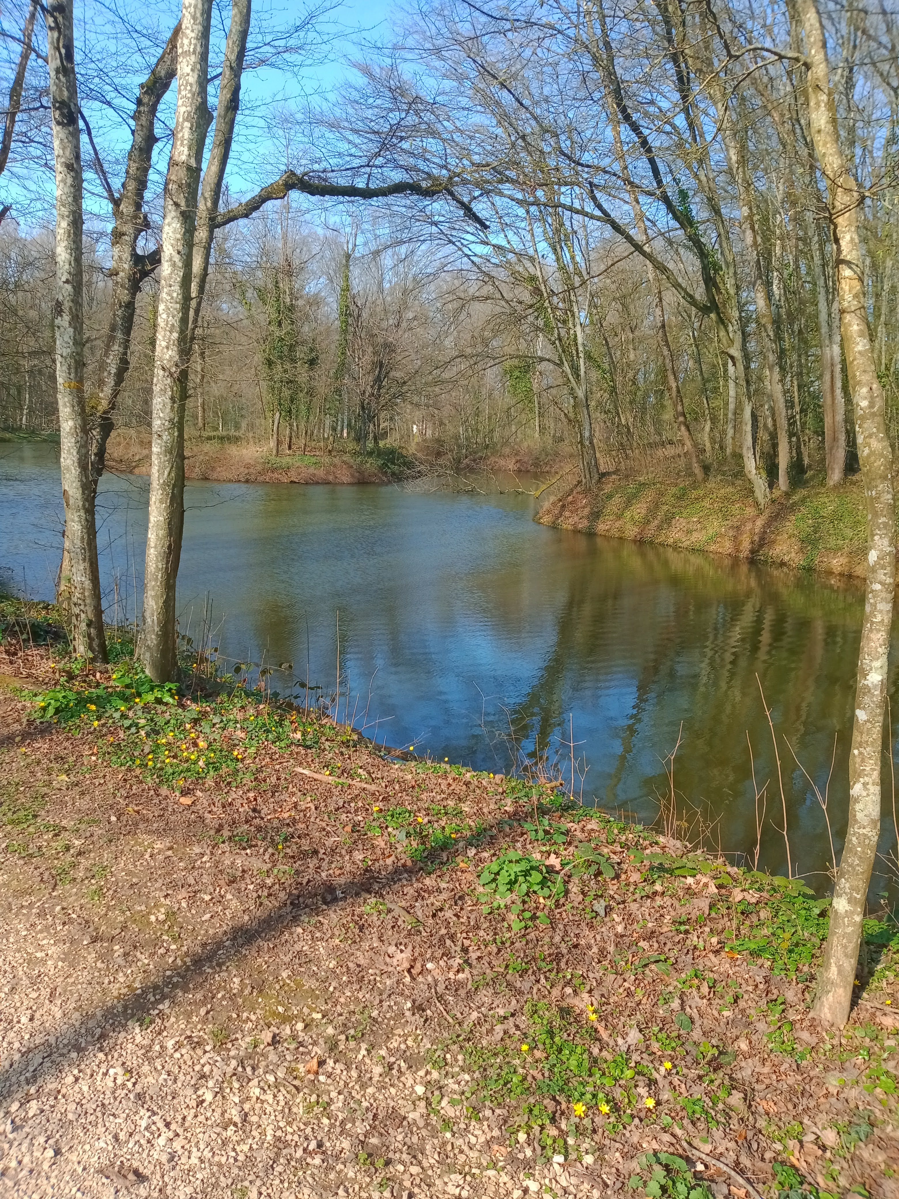 Photo n° 3 de l'avis de Claudine.r fait le 24/03/2022 à 12:11