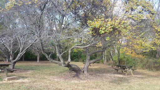 Park «Cherokee Trail Of Tears Commemorative Park», reviews and photos, 100 E 9th St, Hopkinsville, KY 42240, USA