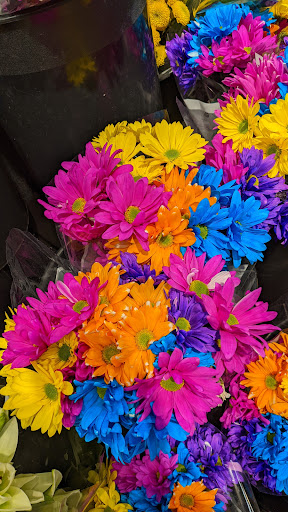 Supermarket «Price Chopper», reviews and photos, 1640 Eastern Pkwy, Schenectady, NY 12309, USA