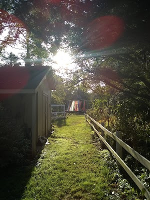 Sweet Briar Nature Center - photo 50