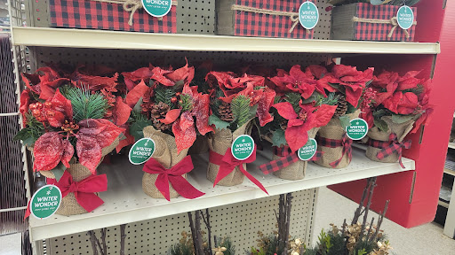 Discount Store «Big Lots», reviews and photos, 308 FL-312, St Augustine, FL 32086, USA