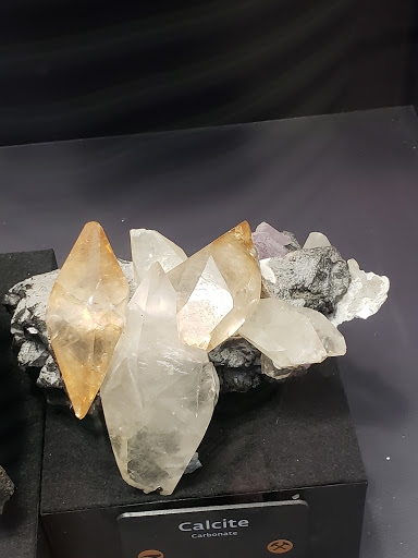 Science Museum «Asheville Museum of Science», reviews and photos, 43 Patton Ave, Asheville, NC 28801, USA