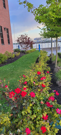 Urban Development Corporation «Steelpointe Harbor», reviews and photos, 508 Stratford Ave, Bridgeport, CT 06608, USA