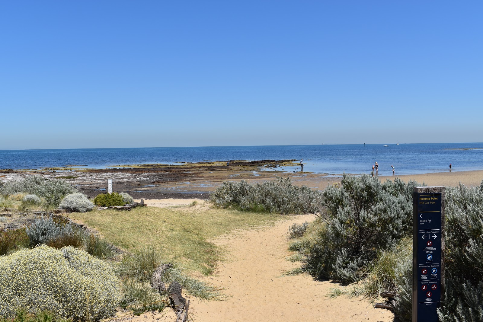 Beaumaris Beach photo #7