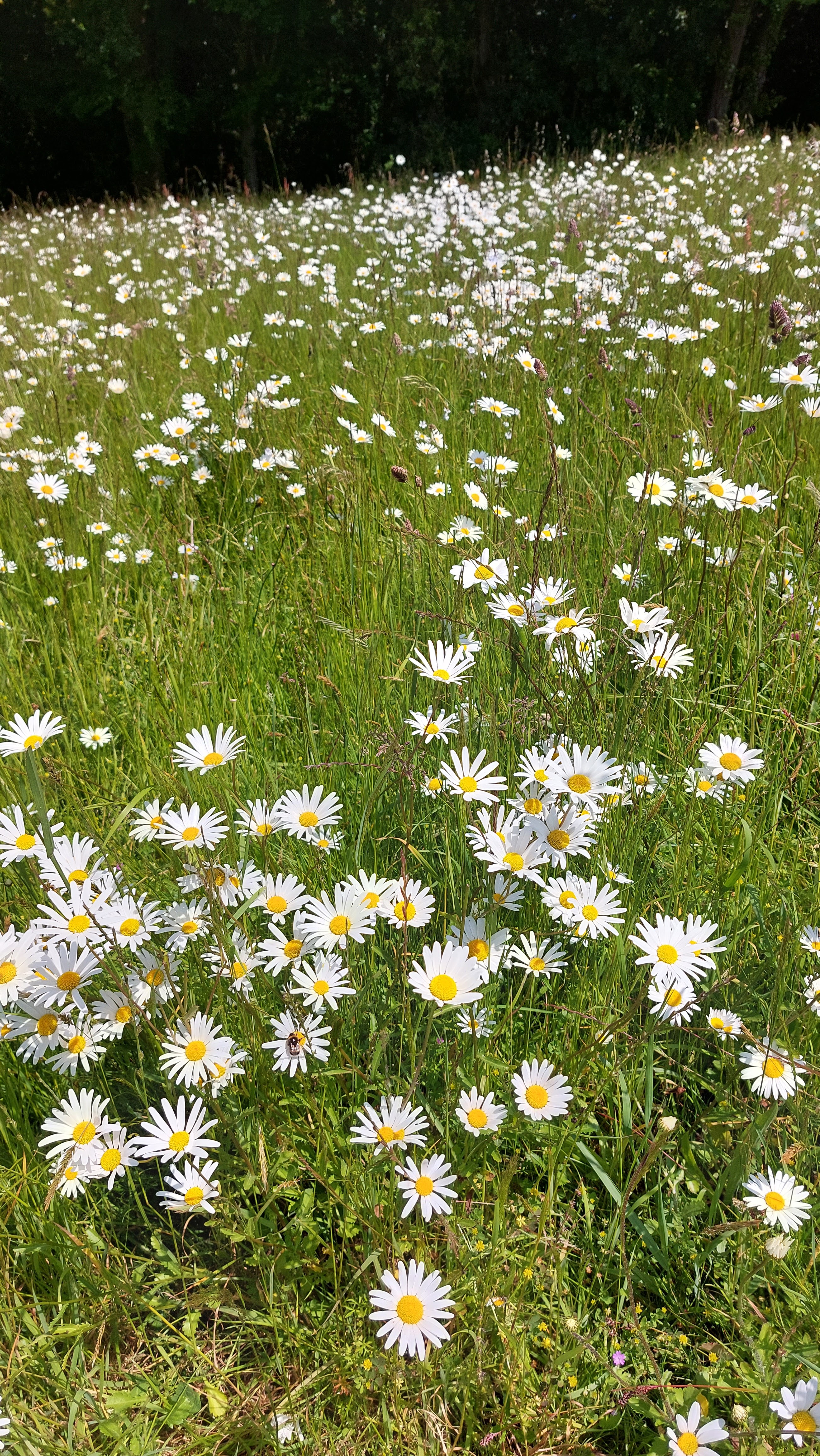 Photo n° 3 de l'avis de sophie.n fait le 25/05/2023 à 13:49