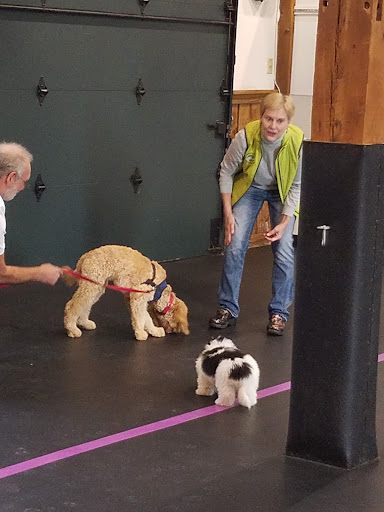 Dog Trainer «Awesome Dawgs Dog Training LLC», reviews and photos, 3052 Pricetown Rd, Temple, PA 19560, USA