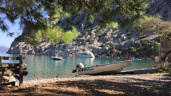 Porto Ceneviz Koyu