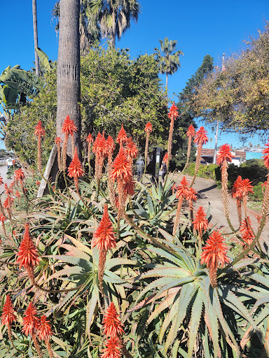Clothing Store «Patagonia Cardiff-by-The-Sea», reviews and photos, 2185 San Elijo Ave, Cardiff, CA 92007, USA