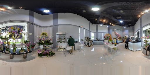 Florist «Flowers and Services», reviews and photos, 13750 Biscayne Blvd, North Miami Beach, FL 33181, USA
