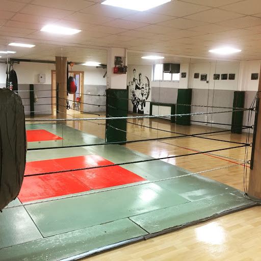 Escuela Boxeo 