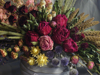 Fleurs séchées de Bayet à Bayet