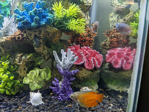 Animal Feed Store «Farmland Pets & Feed», reviews and photos, 9000 Silverdale Way NW, Silverdale, WA 98383, USA