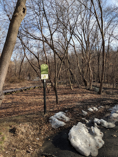 Nature Preserve «Dolan Pond Conservation Area», reviews and photos, Webster Park, West Newton, MA 02465, USA