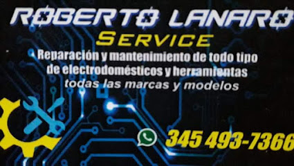 Service Roberto Lanaro