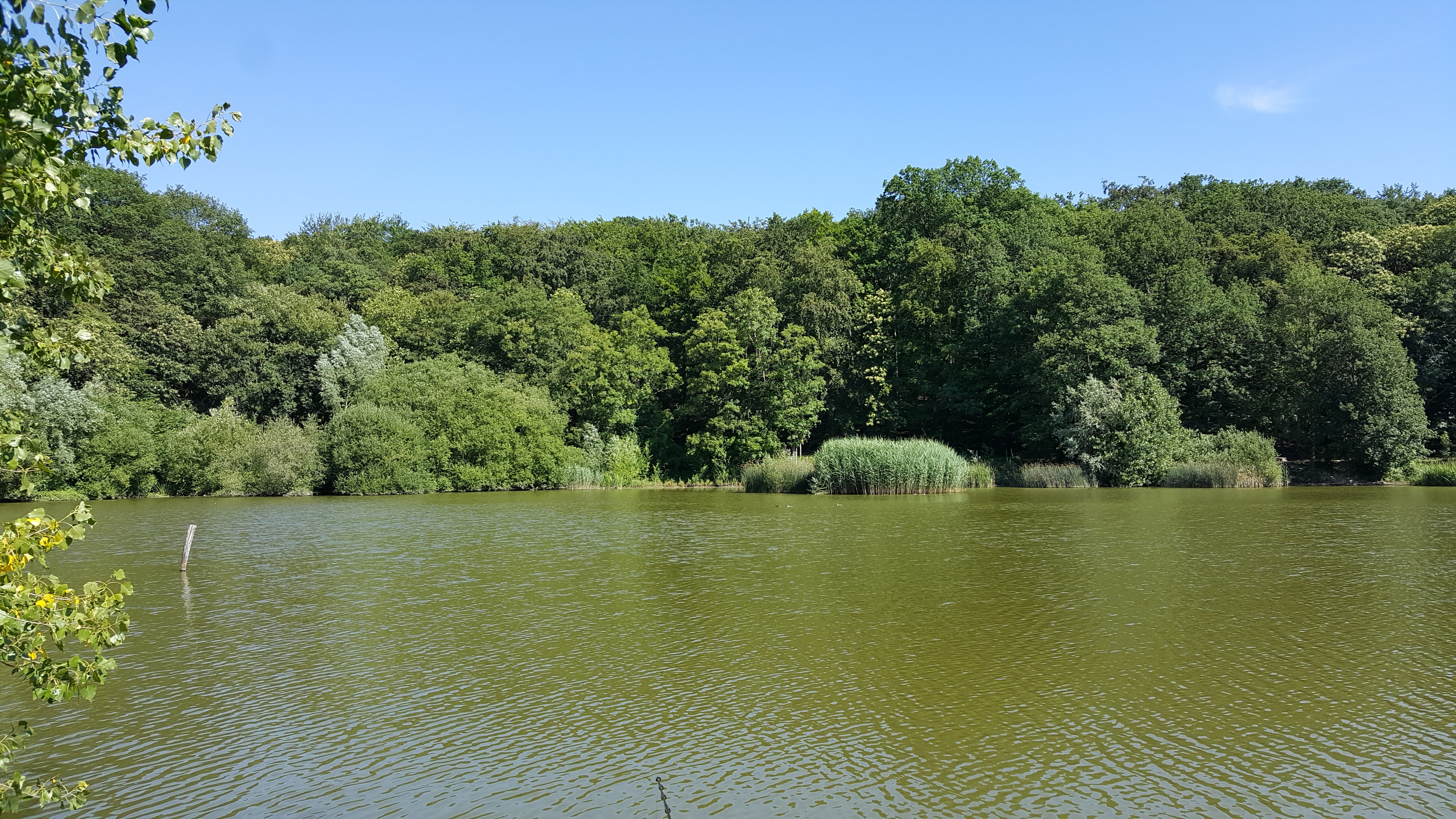 Photo n° 1 de l'avis de Alan.o fait le 30/06/2018 à 09:27