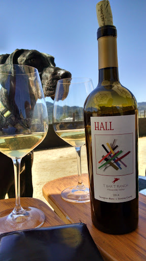 Winery «HALL Wines St. Helena», reviews and photos, 401 St Helena Hwy, St Helena, CA 94574, USA