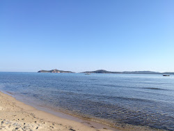Zdjęcie Plage de Vardiola z wiele długich zatok