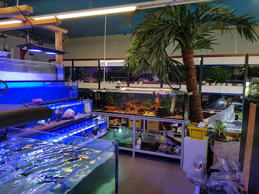 Zoo-Kusian Aquaristik und mehr unter Goslar, 