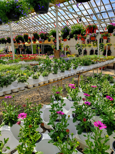 Hardware Store «South Hills Hardware», reviews and photos, 224 Old Brookpark Rd, Cleveland, OH 44109, USA