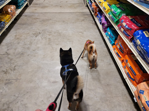 Pet Supply Store «PetSmart», reviews and photos, 4510 S US Hwy 17 92, Casselberry, FL 32707, USA