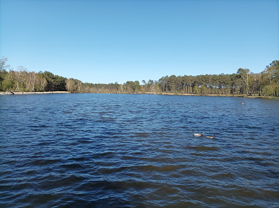 Lac Baron Desqueyroux à Montendre