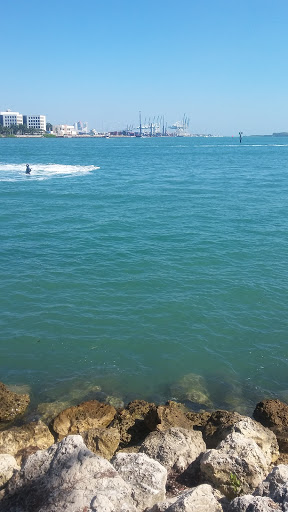 Performing Arts Theater «Bayfront Park Amphitheatre», reviews and photos, 301 Biscayne Blvd, Miami, FL 33132, USA