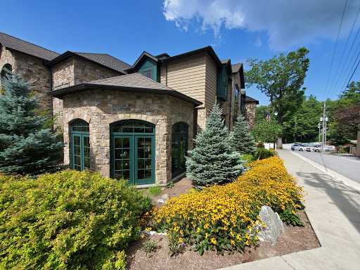 Museum «Blowing Rock Art & History Museum», reviews and photos, 159 Chestnut St, Blowing Rock, NC 28605, USA