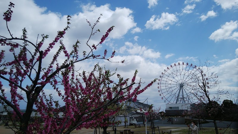 はなもも広場