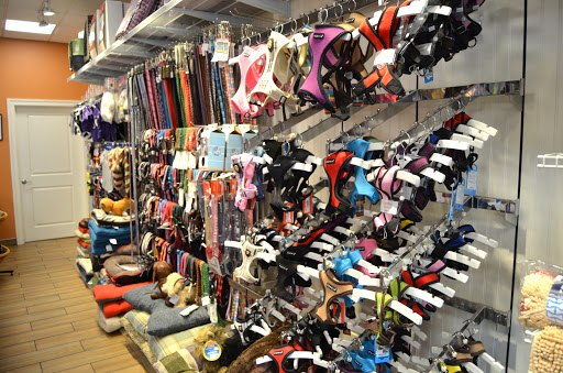 Pet Store «Charm City Puppies», reviews and photos, 8205 Snowden River Pkwy, Columbia, MD 21045, USA