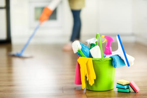 Rose's Home & Business Cleaning