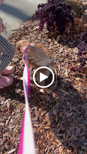 Liquor Store «Asheville ABC Liquor Store #7», reviews and photos, 145 Tunnel Rd, Asheville, NC 28805, USA