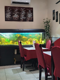 Atmosphère du Restaurant asiatique Le Saïgon à Orange - n°3