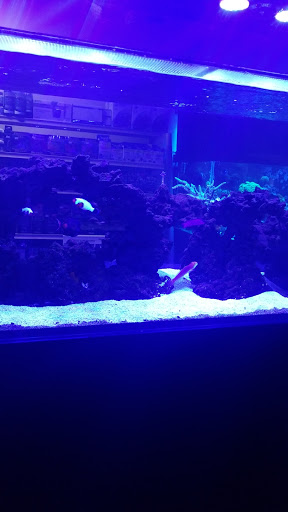 Tropical Fish Store «Aquatic Obsessions», reviews and photos, 1150 St George Ave, Avenel, NJ 07001, USA