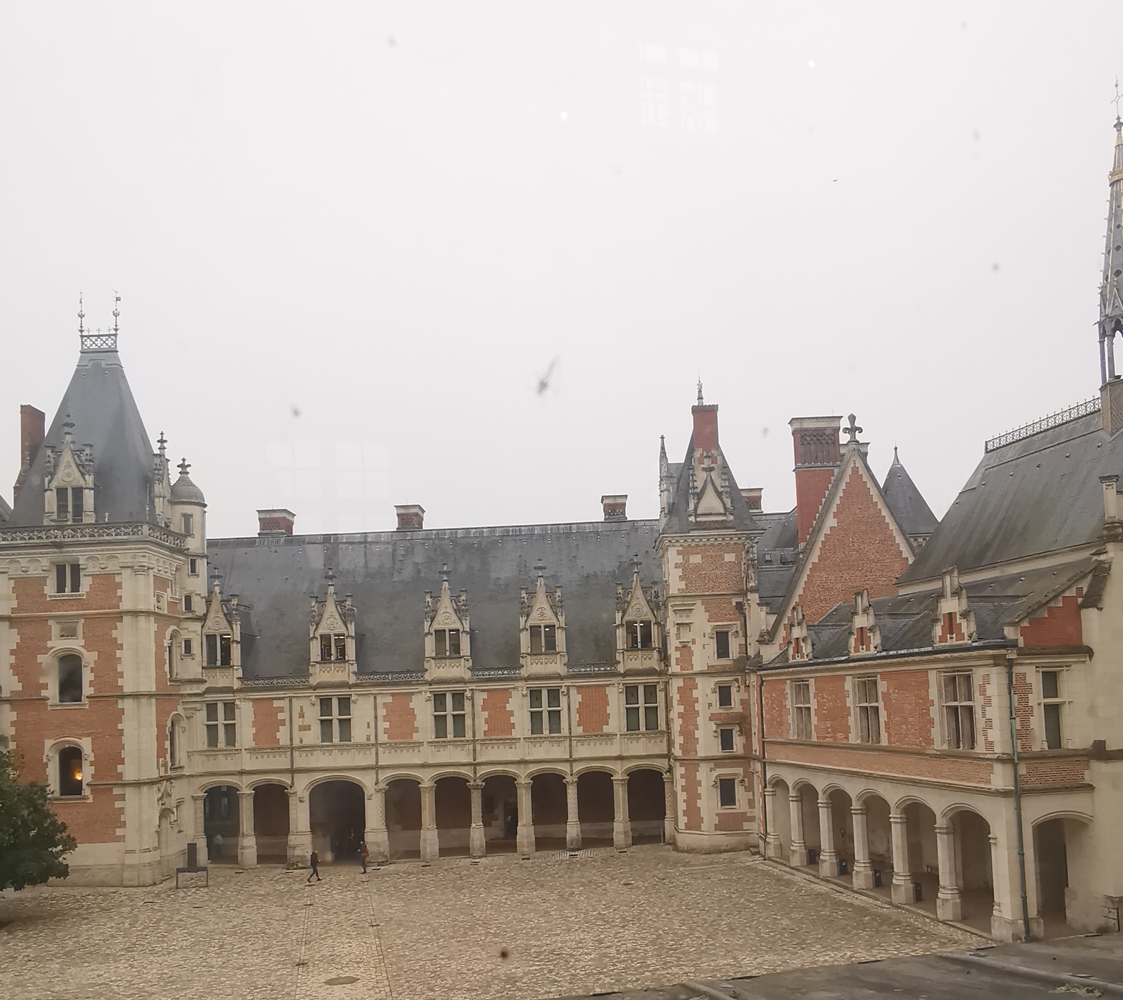 Photo n° 6 de l'avis de Marine.G fait le 15/11/2022 à 20:53