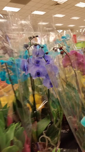 Department Store «Target», reviews and photos, 3885 E Main St, St Charles, IL 60174, USA