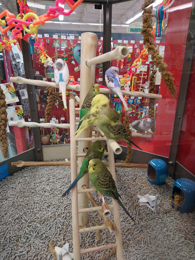 Pet Supply Store «Petco Animal Supplies», reviews and photos, 187 Stonebrook Pl, Jackson, TN 38305, USA