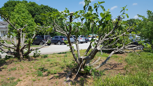 Park «Heritage Park», reviews and photos, 99 Lake Dow Rd, McDonough, GA 30252, USA