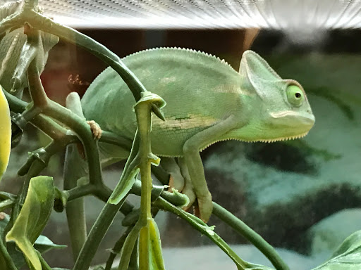 Pet Supply Store «Petco Animal Supplies», reviews and photos, 8213 Hwy 72 W c, Madison, AL 35758, USA