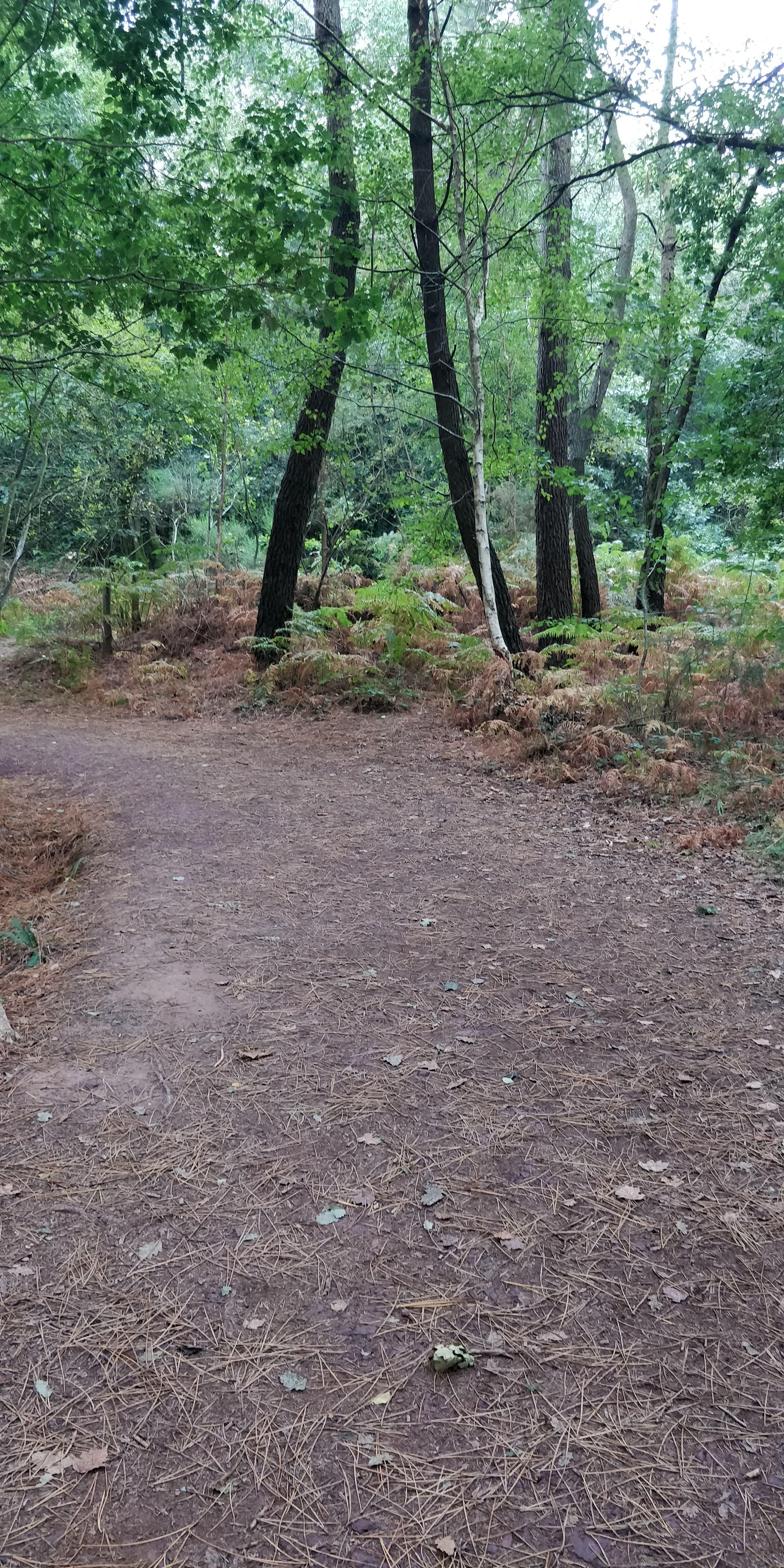 Photo n° 4 de l'avis de Alfred.e fait le 29/08/2020 à 16:03