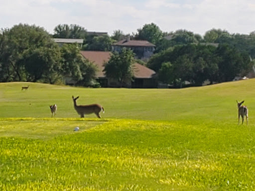 Golf Club «Point Venture Golf Club», reviews and photos, 422 Venture Blvd S, Leander, TX 78645, USA