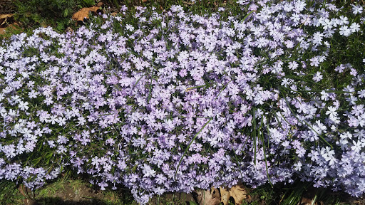 Golf Course «Van Cortlandt Park Golf Course», reviews and photos, 115 Van Cortlandt Park S, Bronx, NY 10471, USA