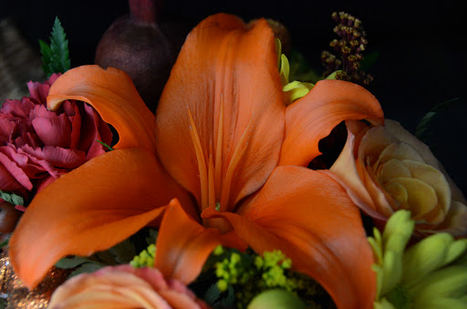 Florist «Hilldale Florist», reviews and photos, 1946 Madison St, Clarksville, TN 37043, USA