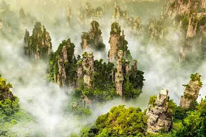 Zhangjiajie National Forest Park image