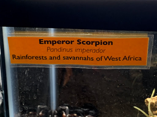 Farm «Idlewild Butterfly Farm», reviews and photos, 1100 Logan St, Louisville, KY 40204, USA